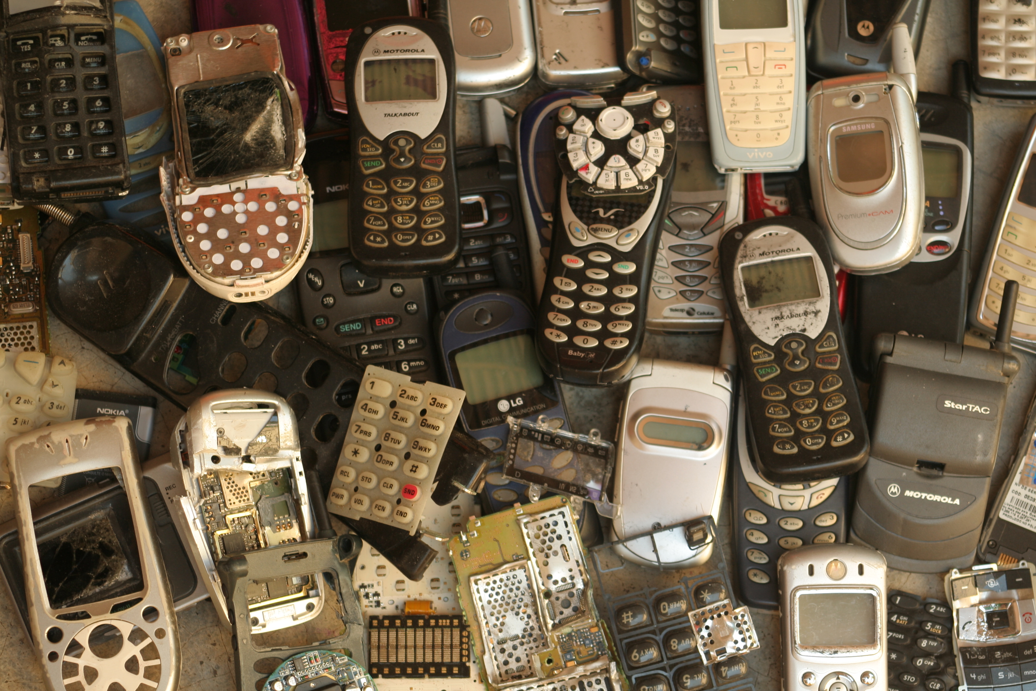 celulares_lucas