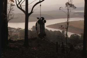 http://www.lucasbambozzi.net/projetosprojects/a-vinganca-e-uma-especie-de-justica-selvagem