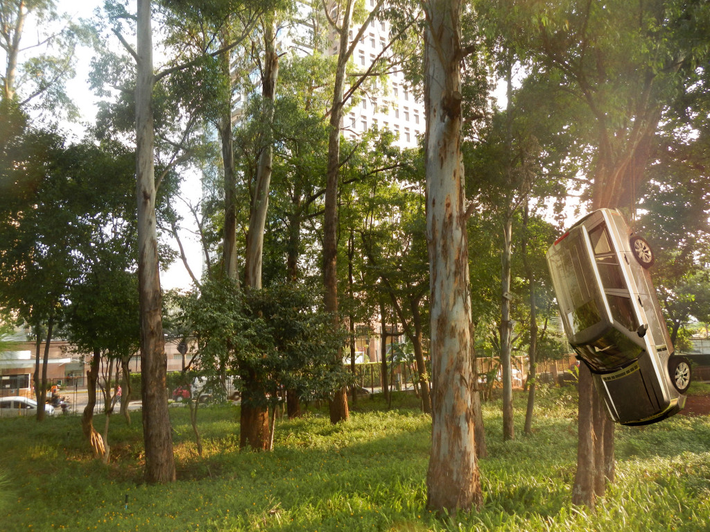 arvores parque-Rover-1