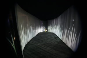 http://www.lucasbambozzi.net/projetosprojects/o-gabinete-de-alice